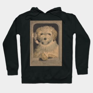 Vintage dog smoking a pipe Hoodie